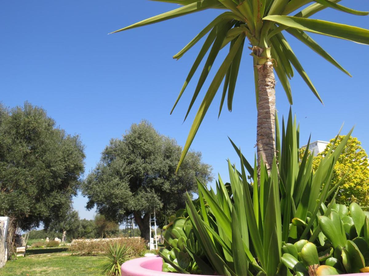 Masseria Borgo Santuri Ostuni Exteriör bild