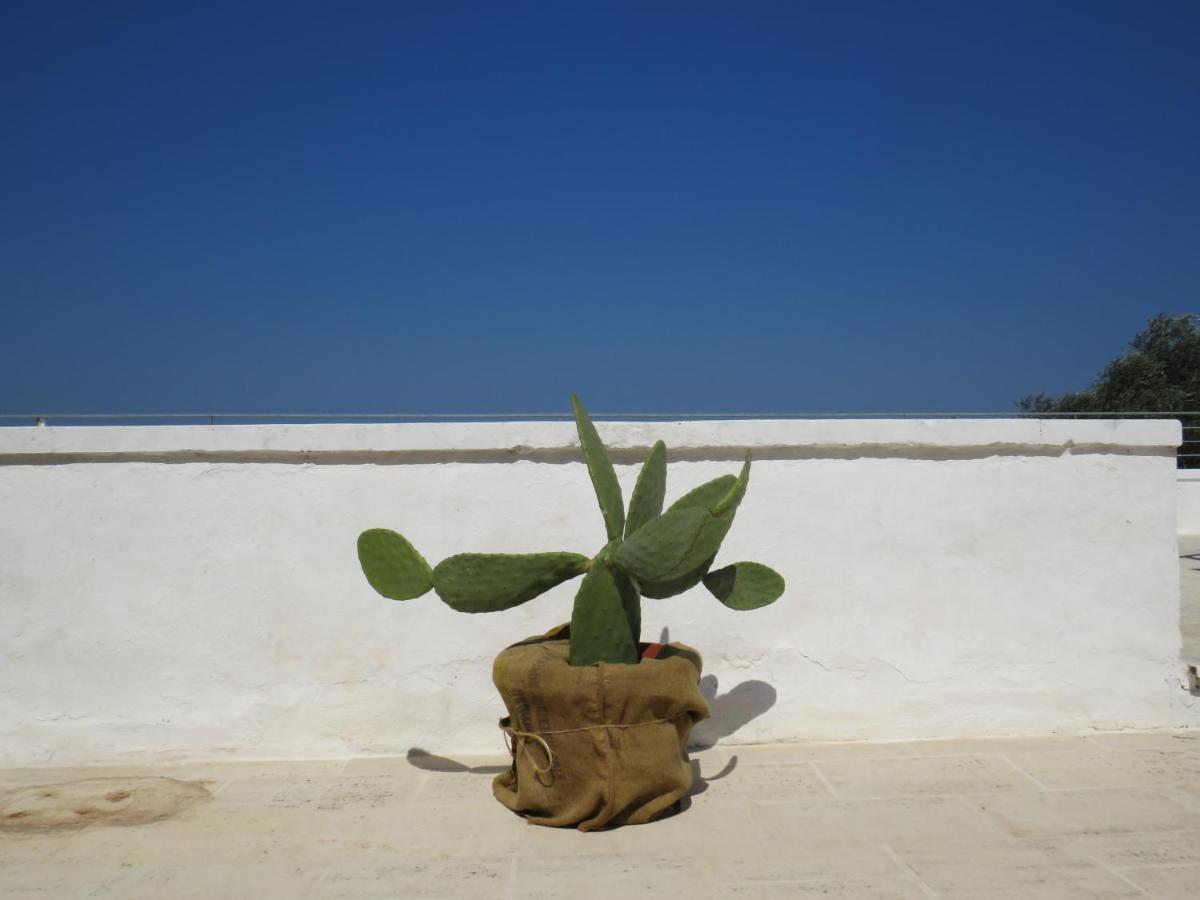 Masseria Borgo Santuri Ostuni Exteriör bild
